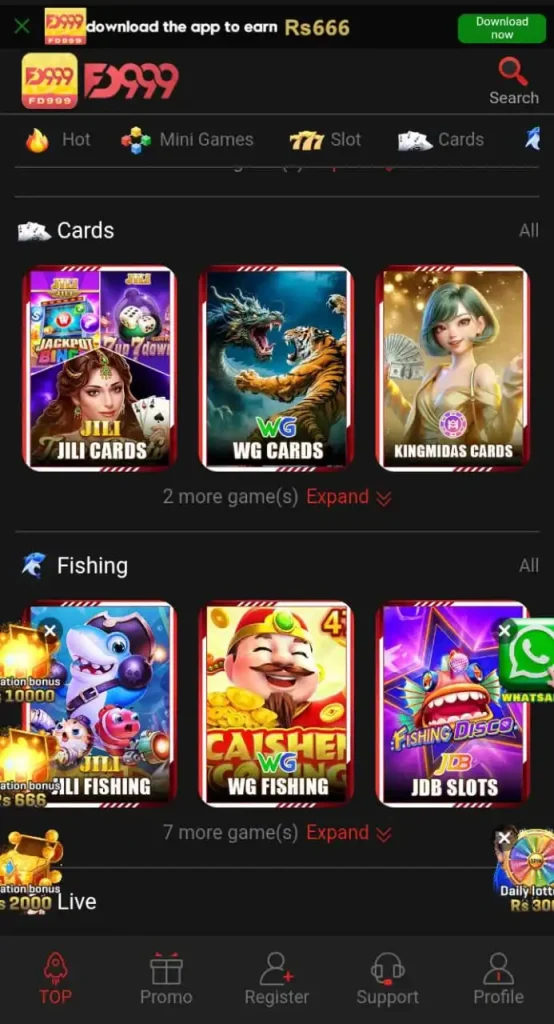FD 999 Game Download