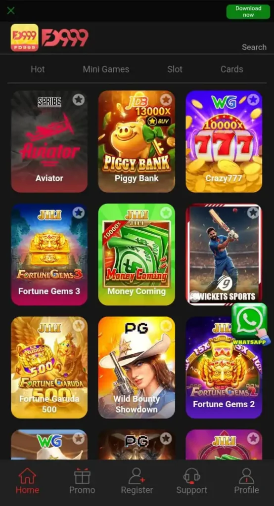 FD 999 Game APK
